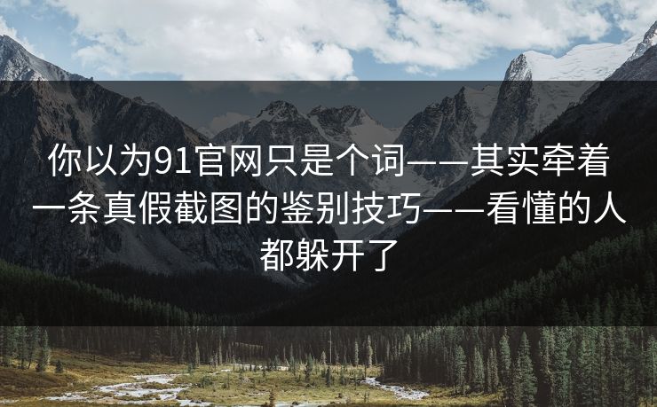 你以为91官网只是个词——其实牵着一条真假截图的鉴别技巧——看懂的人都躲开了