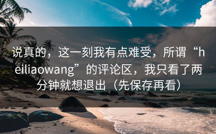 说真的，这一刻我有点难受，所谓“heiliaowang”的评论区，我只看了两分钟就想退出（先保存再看）