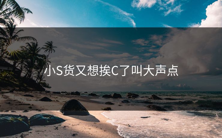 小S货又想挨C了叫大声点