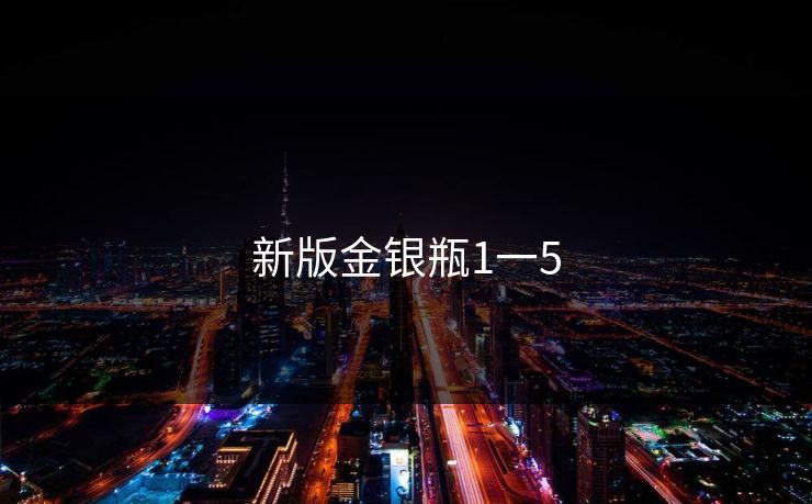 新版金银瓶1一5