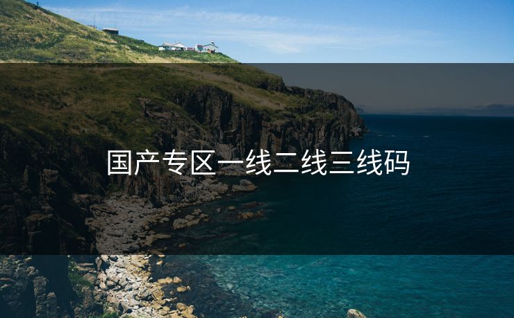 国产专区一线二线三线码