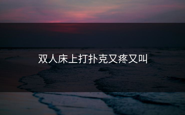 双人床上打扑克又疼又叫