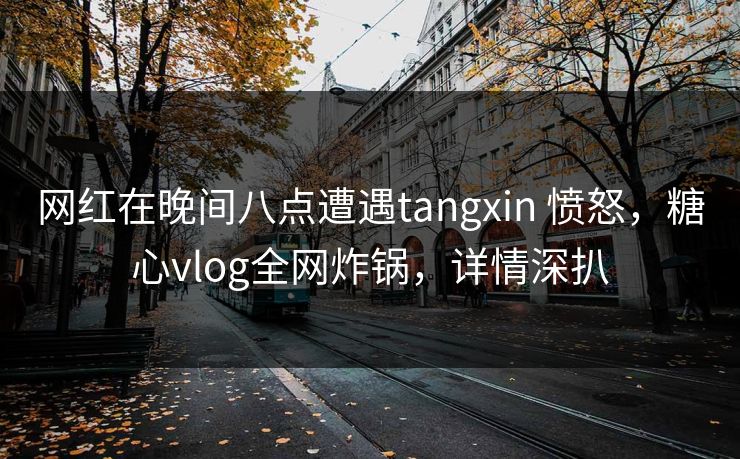 网红在晚间八点遭遇tangxin 愤怒，糖心vlog全网炸锅，详情深扒